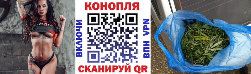 Бошки марихуана сатива  где купить   Богучар 